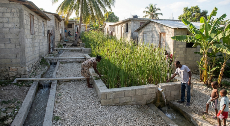 Génie Écologique : Des jardins filtrants contre le Choléra